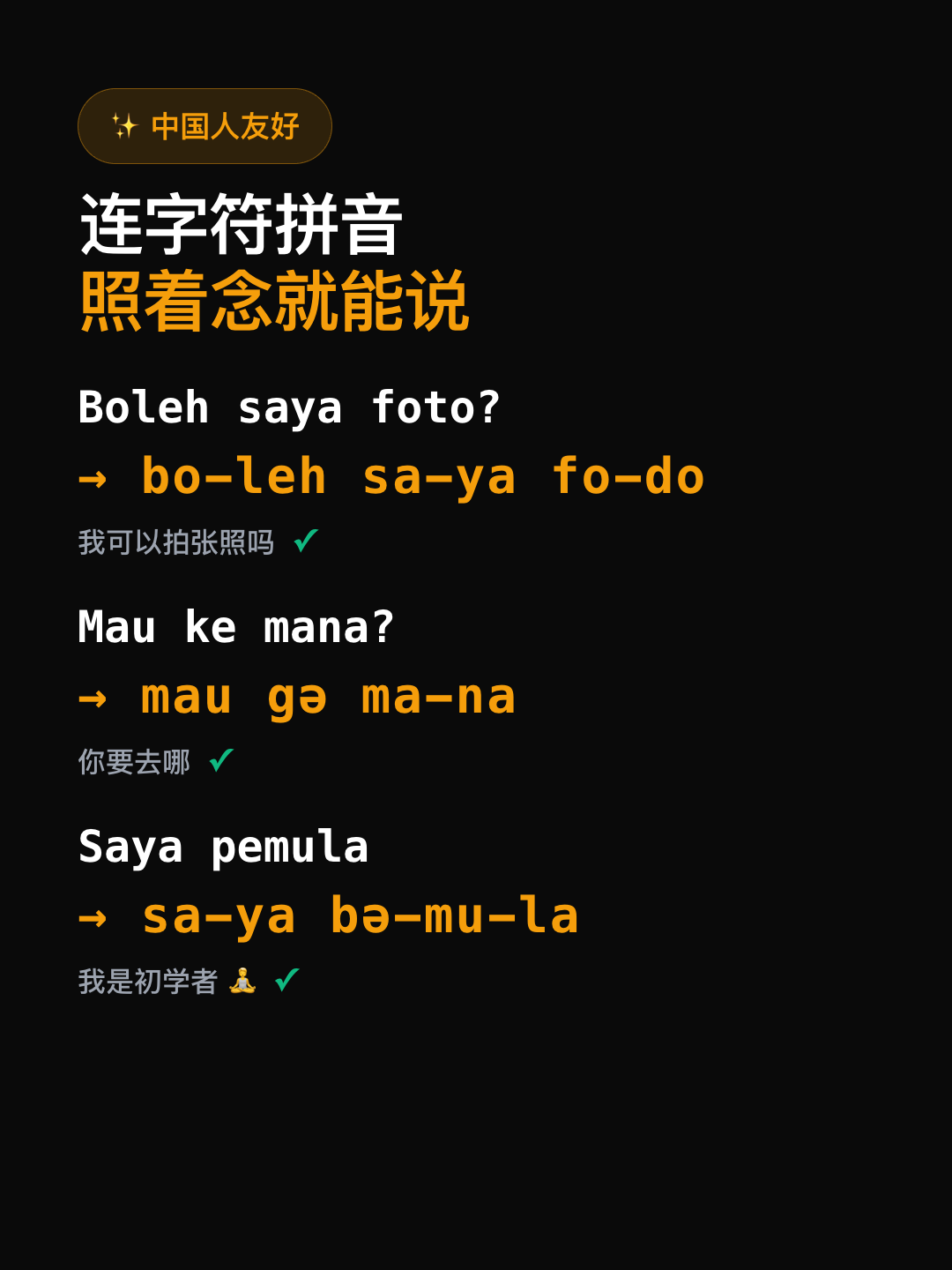 拼音特写 · 黑底