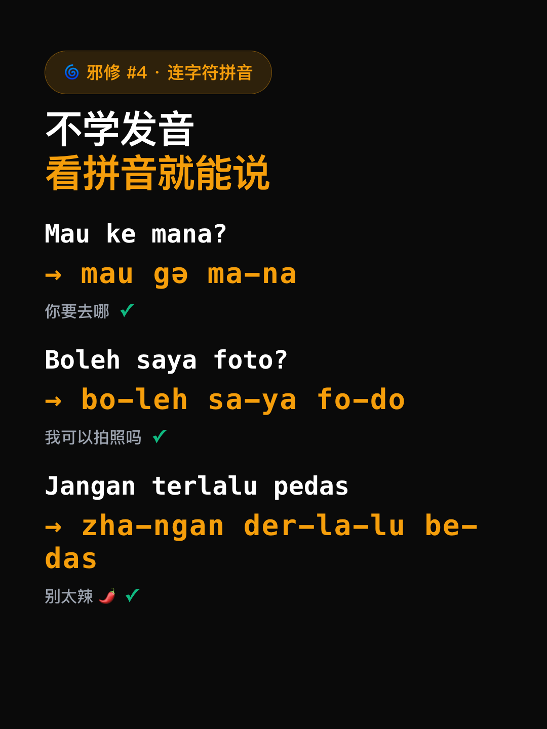 拼音特写 · 黑底